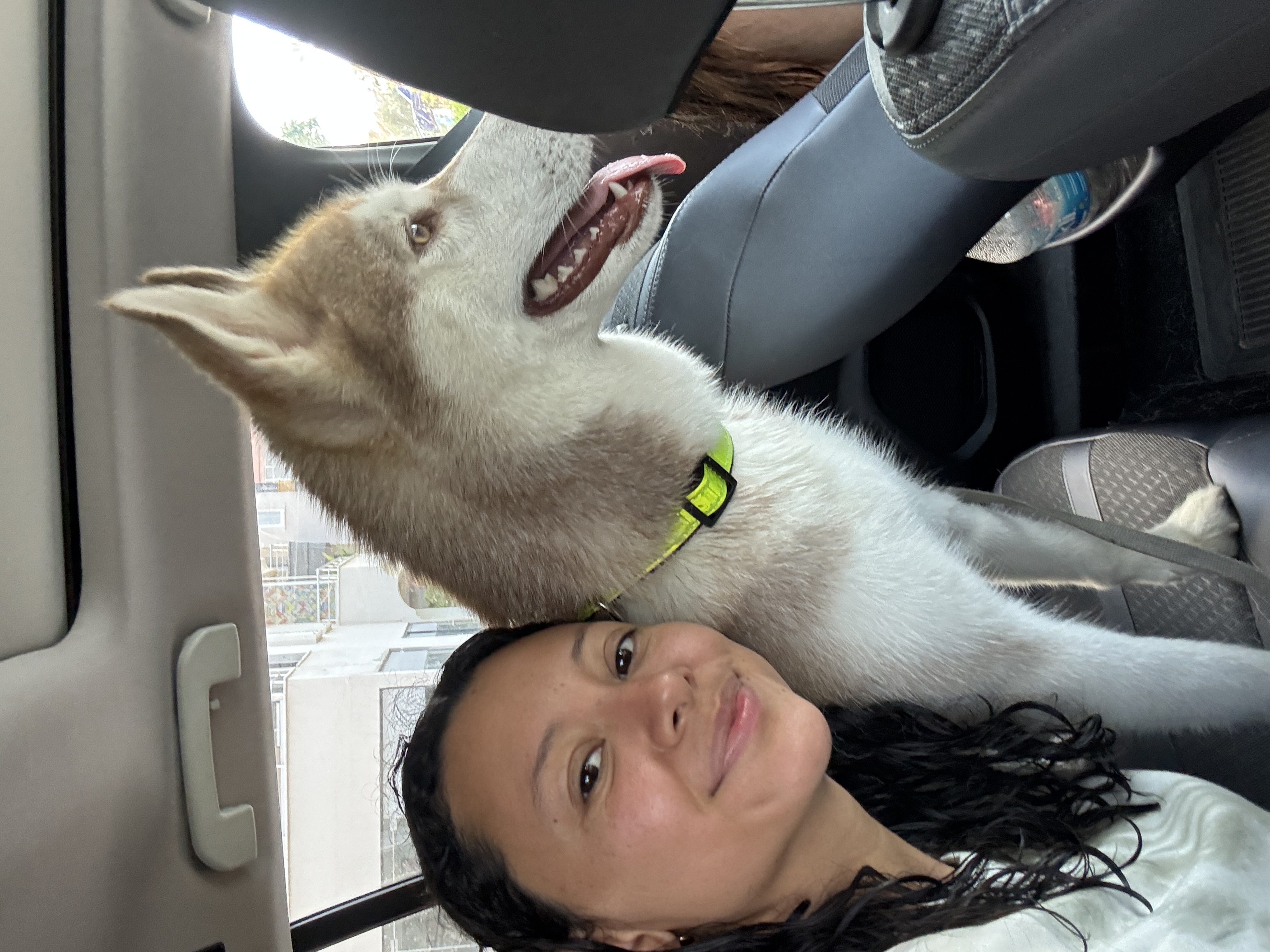 Happy Walks 